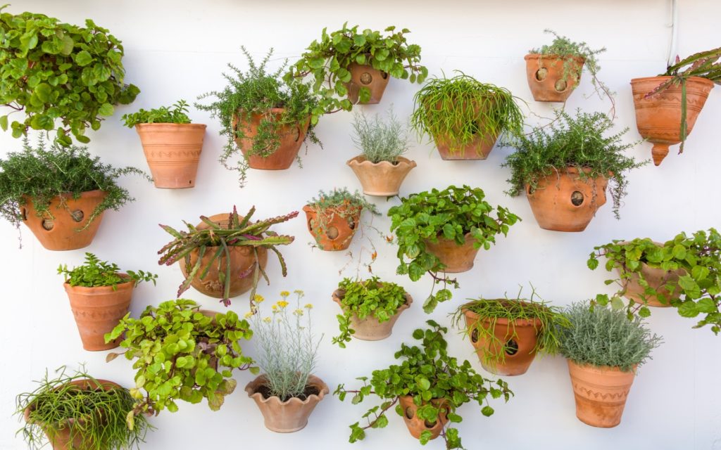 Pot Fleurs Mur